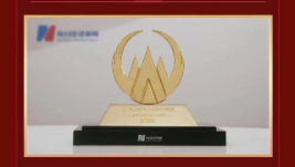 002cc白菜资讯（002219）荣获“最具社会责任上市公司”称号